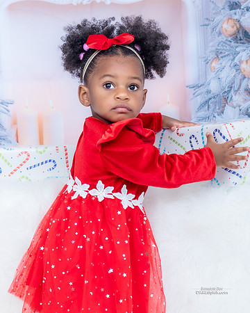 Holiday Photography