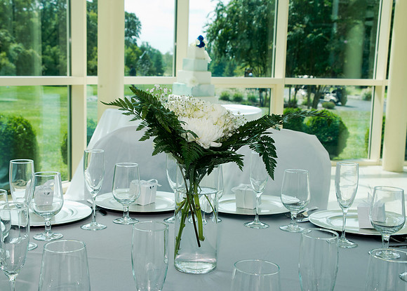 Weddings in DC, Maryland and Virginia